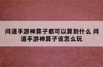 问道手游神算子都可以算到什么 问道手游神算子该怎么玩